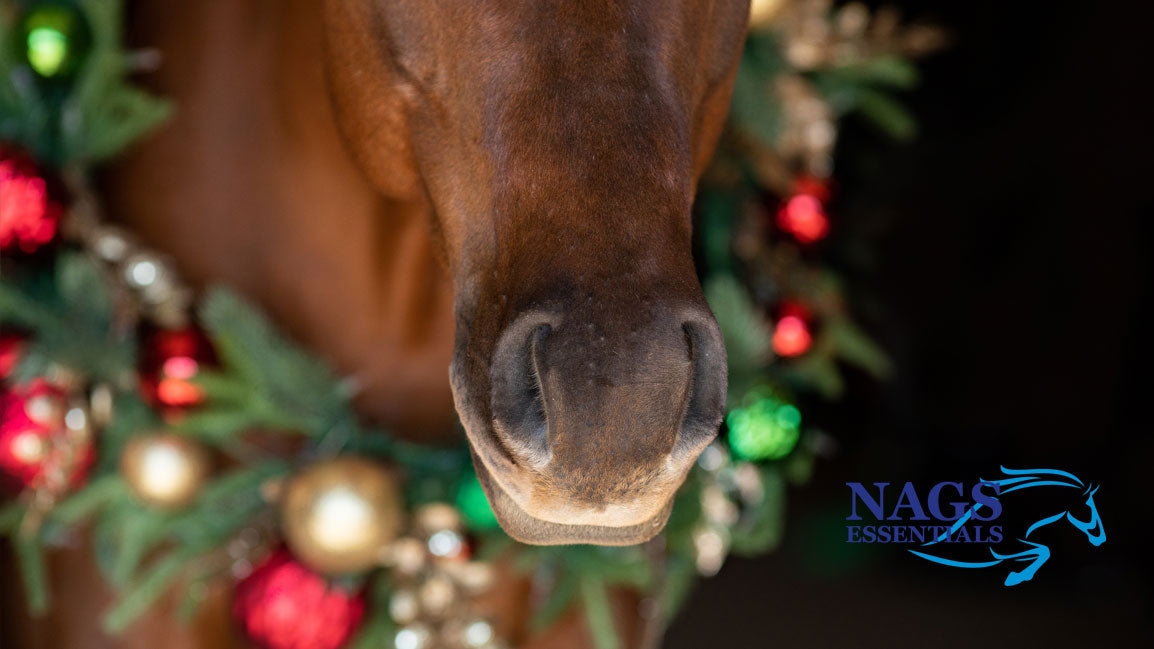 Christmas at the Yard: Festive Traditions Every Horse Owner Knows