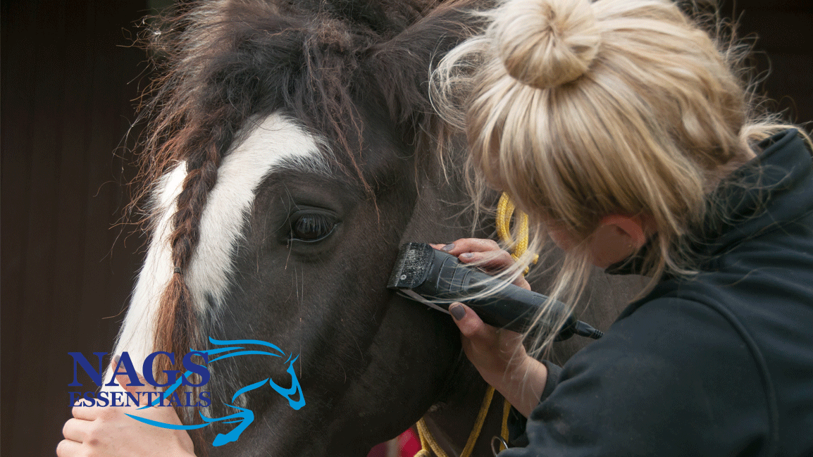 Clipping Season Is Here — What You Need Before the First Clip