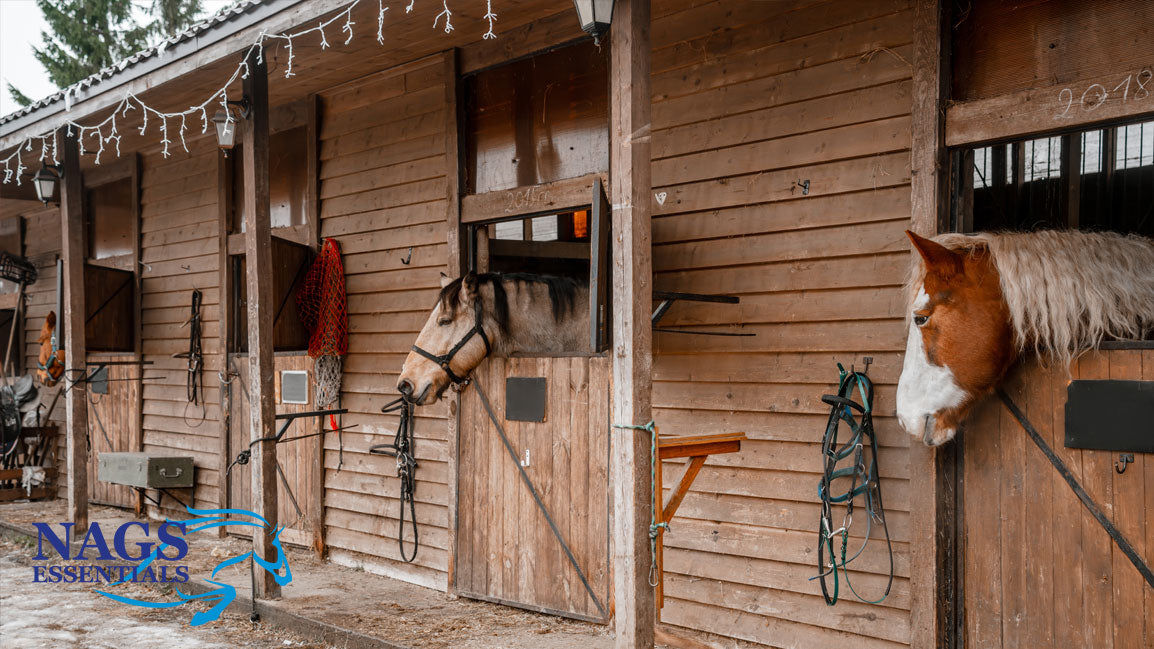 Winter Yard Essentials: What Every Horse Owner Needs in December