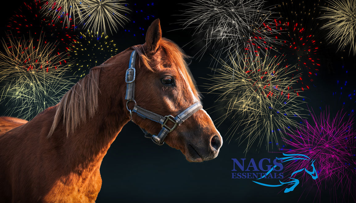 How to Keep Your Horse Calm on Bonfire Night
