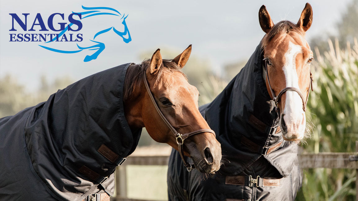 End of January Horse Care: Looking After Your Horse in Wet Winter Weather