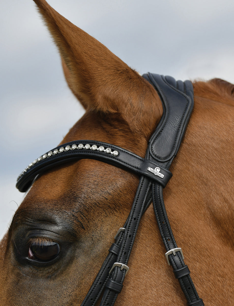 Collegiate Comfitec Opulux Padded Dressage Bridle - Black
