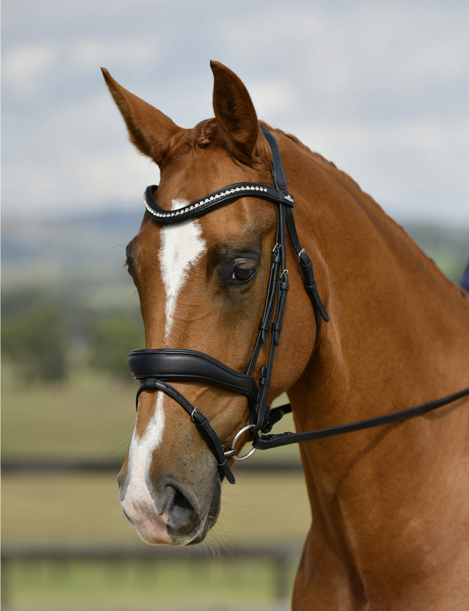 Collegiate Comfitec Opulux Padded Dressage Bridle - Black