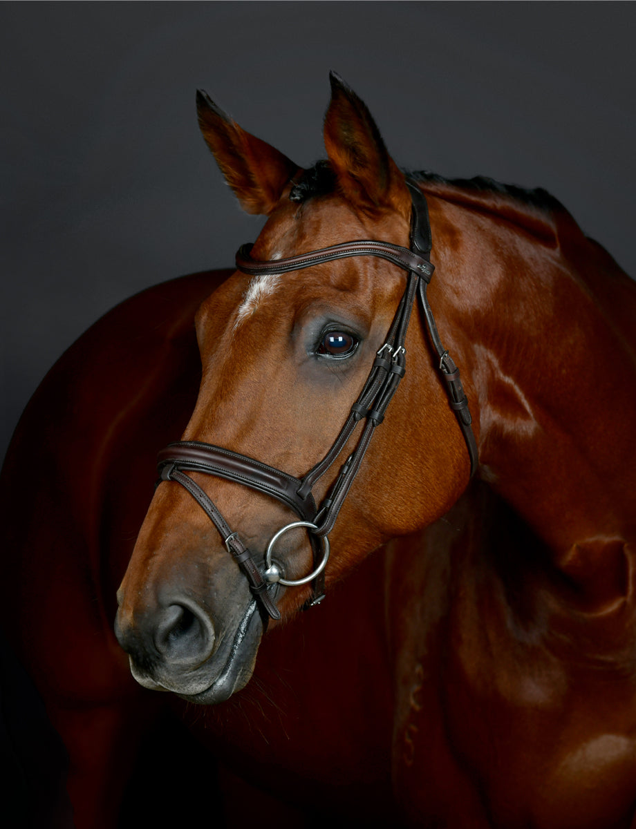 Collegiate Comfitec Opulux Fancy Stitched Padded Hanoverian Bridle