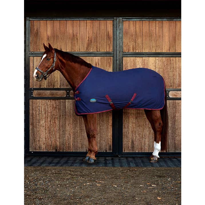 Weatherbeeta Cotton Sheet Standard Neck - Navy