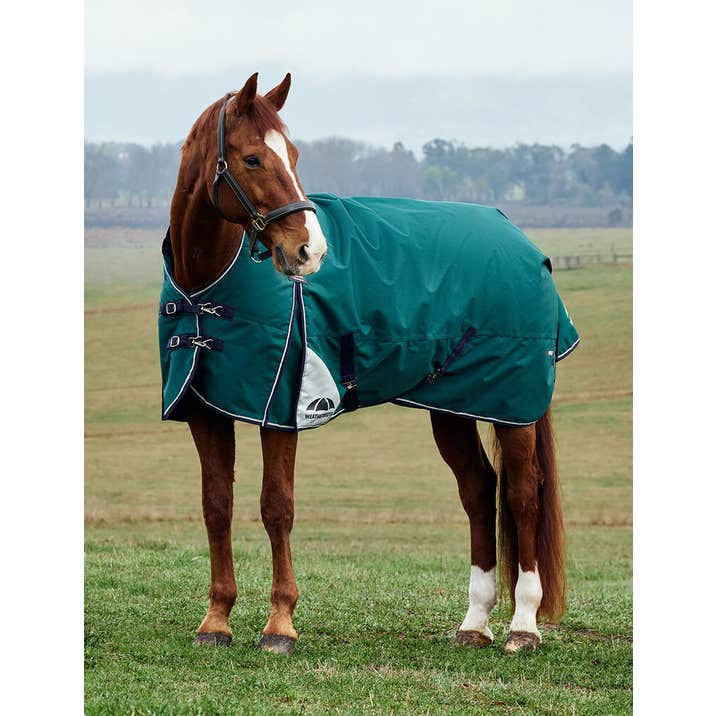 Weatherbeeta ComFiTec Plus Dynamic Turnout High Neck 100G