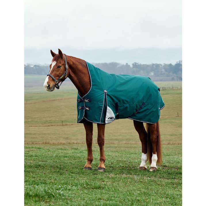 Weatherbeeta ComFiTec Plus Dynamic Turnout High Neck 100G
