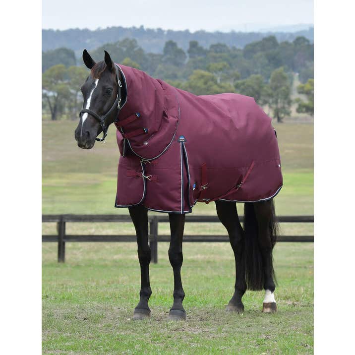 Weatherbeeta ComFiTec Essential Turnout Detach-A-Neck 220G