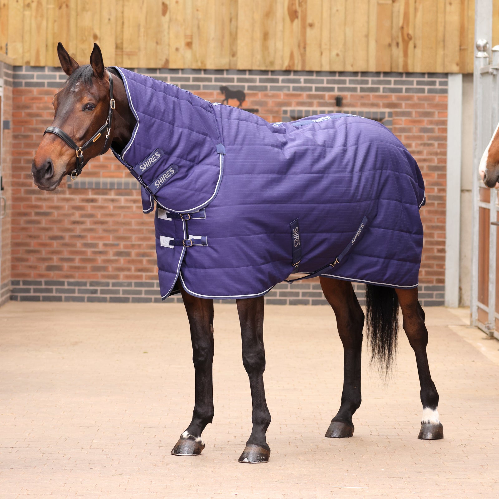 Tempest Original 100 Combo Stable Rug - Navy