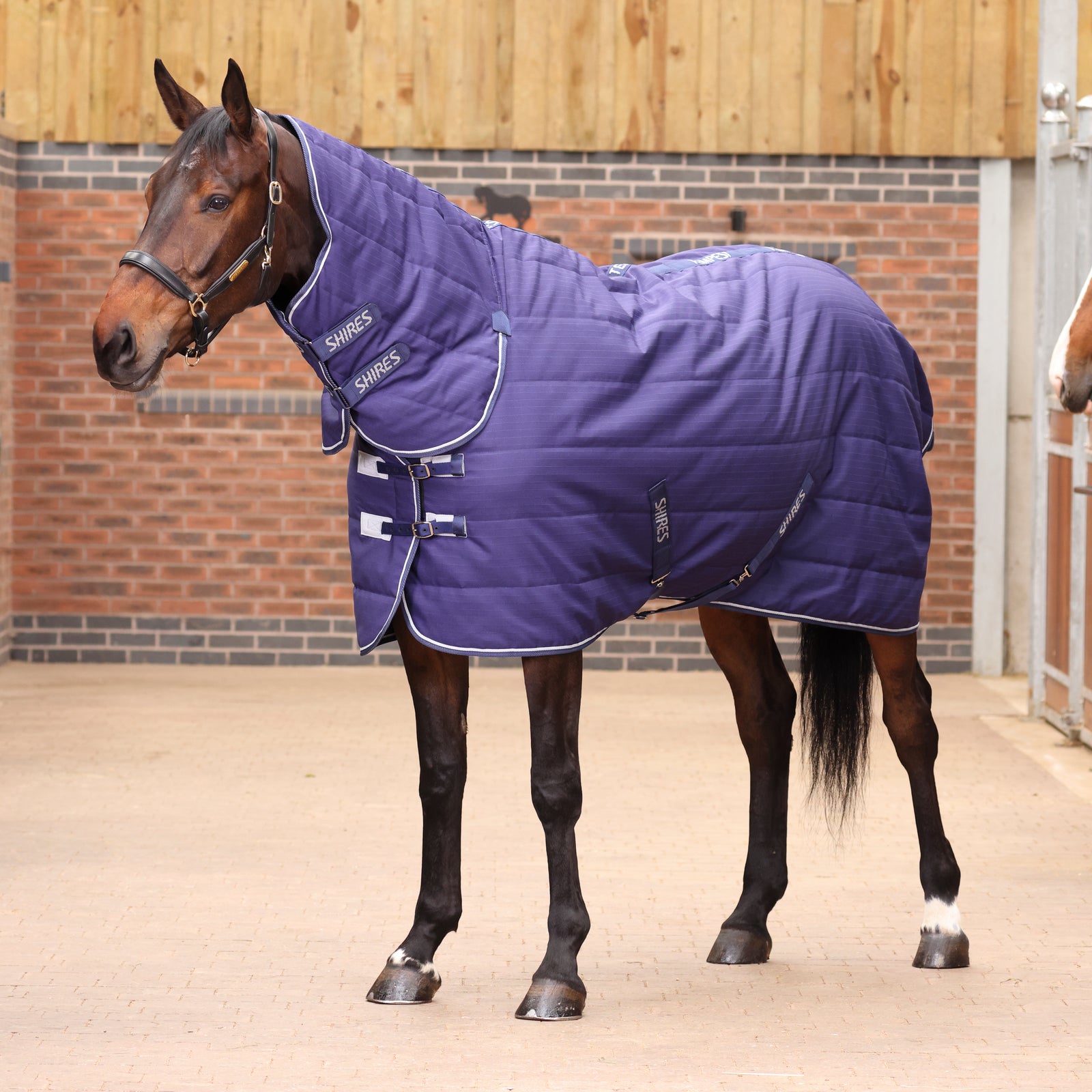 Tempest Original 100 Combo Stable Rug - Navy