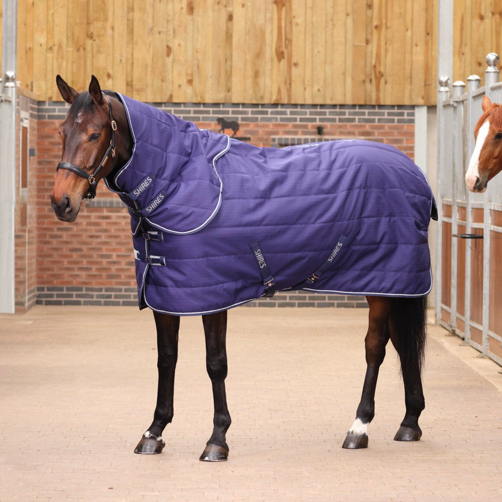 Tempest Original 100 Stable Rug & Neck Set - Navy