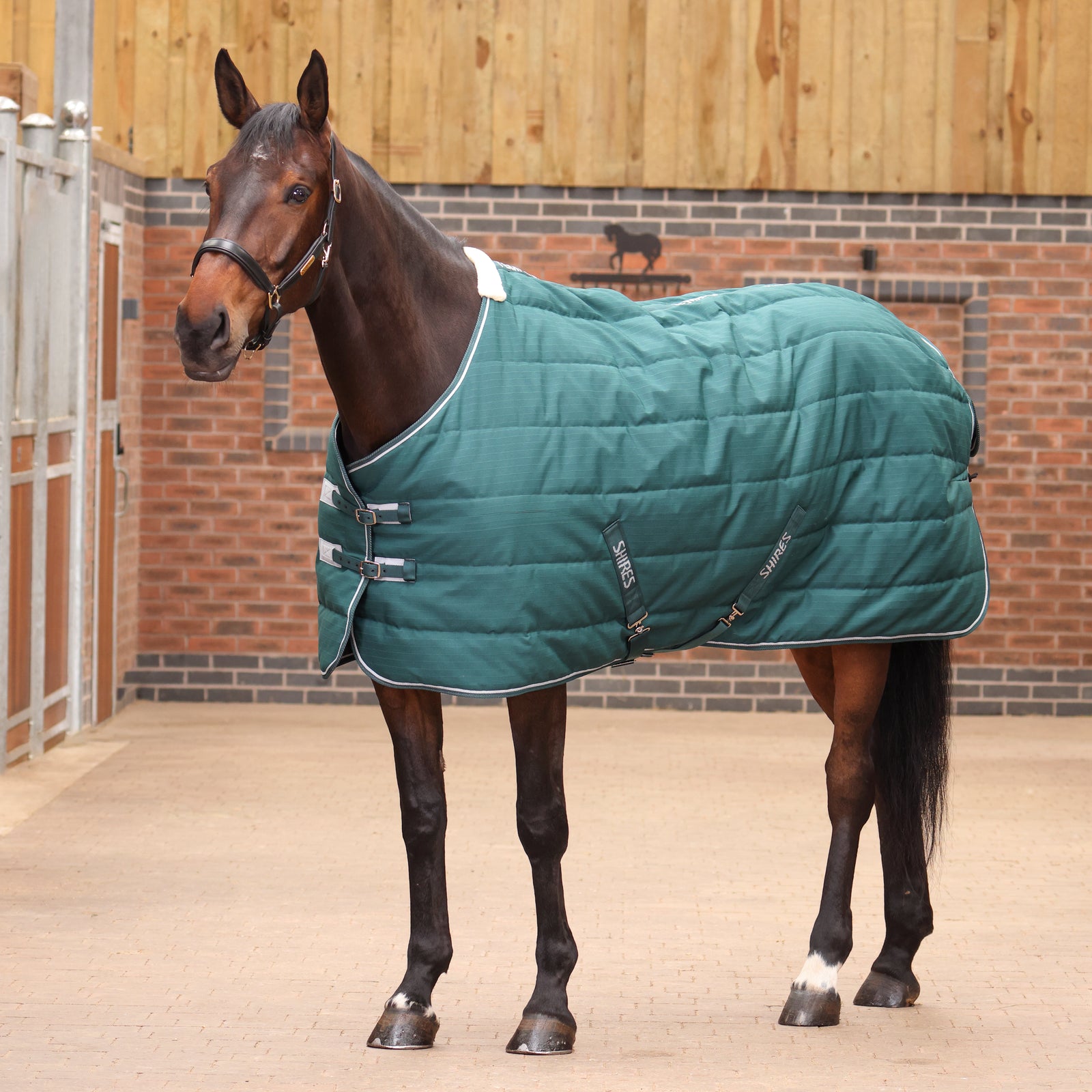 Tempest Original 200 Stable Rug - Emerald