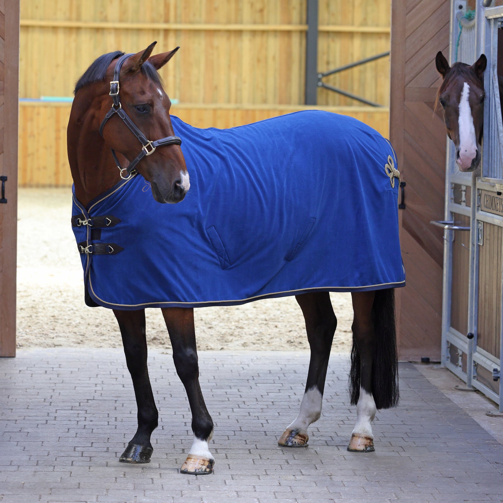 Shires Deluxe Fleece Show Rug - Navy