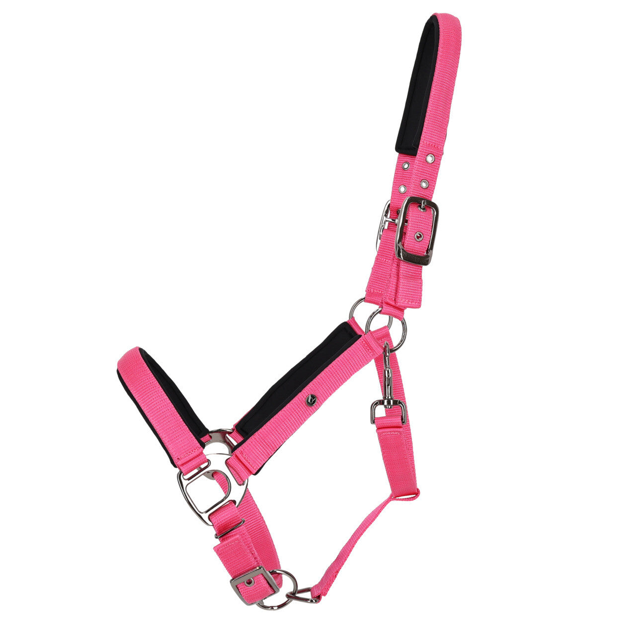 QHP Deluxe Headcollar