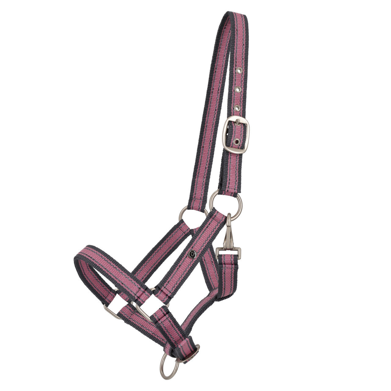 Yearling Headcollar
