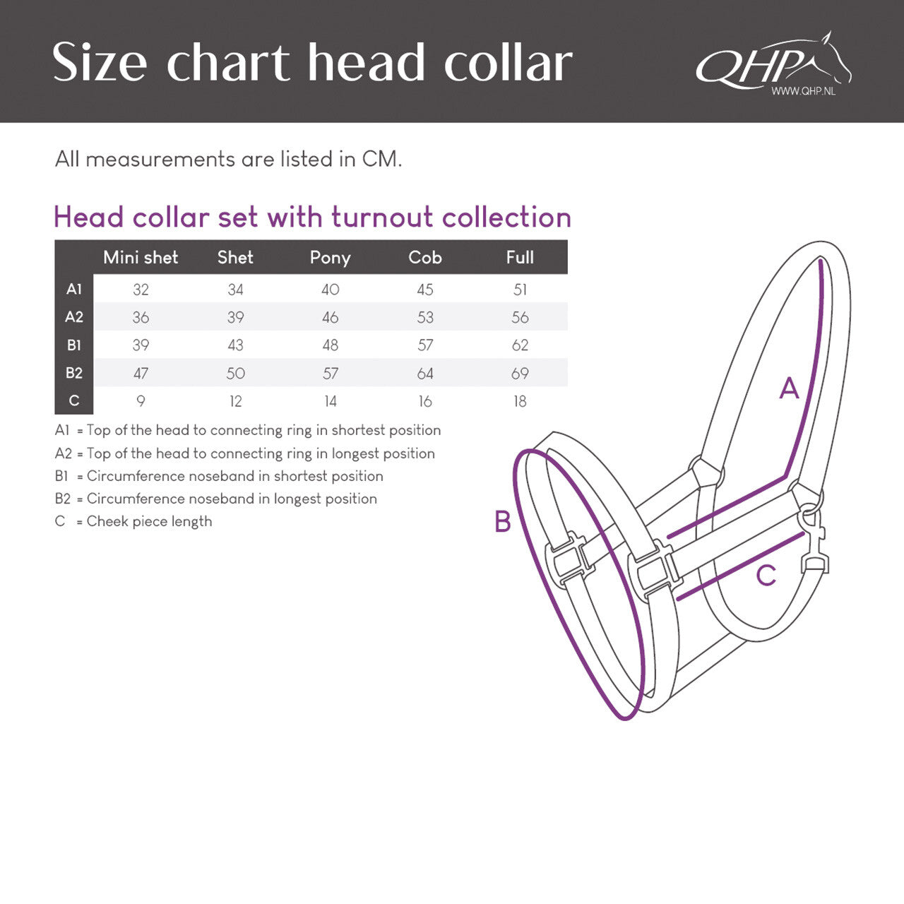 Head Collar Set - Turnout Collection