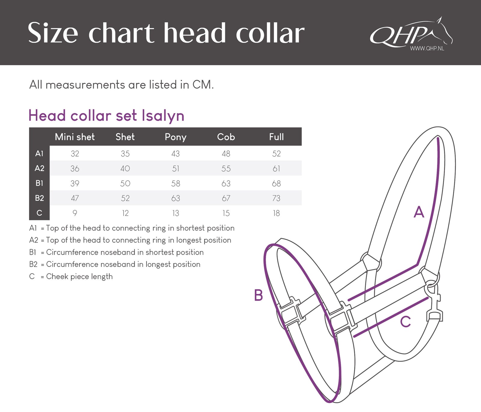Isalyn Headcollar Set