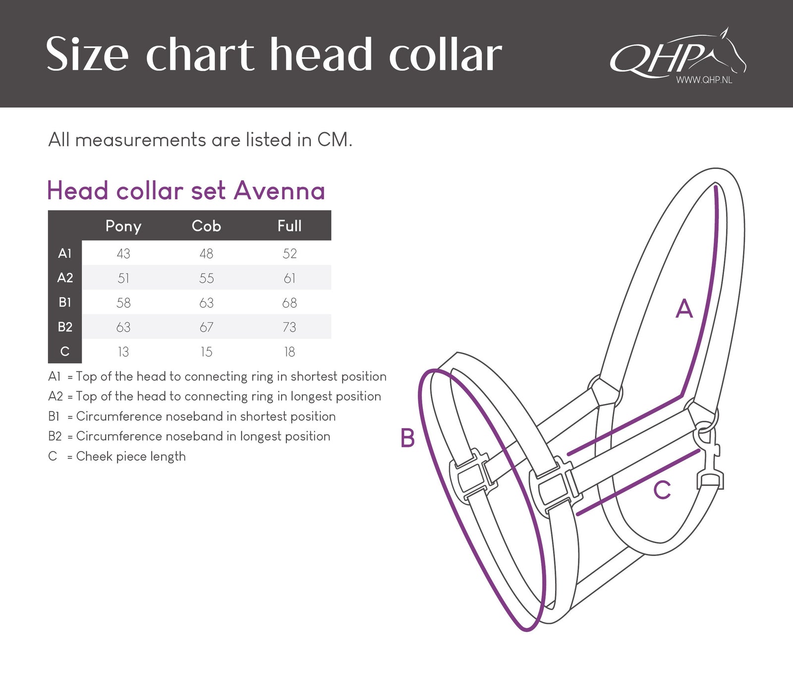 Avenna Head Collar Set