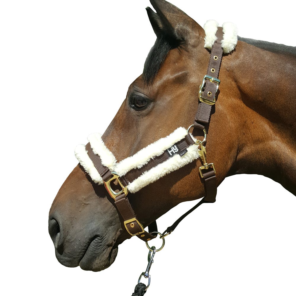 Hy Equestrian Sheepskin Head Collar