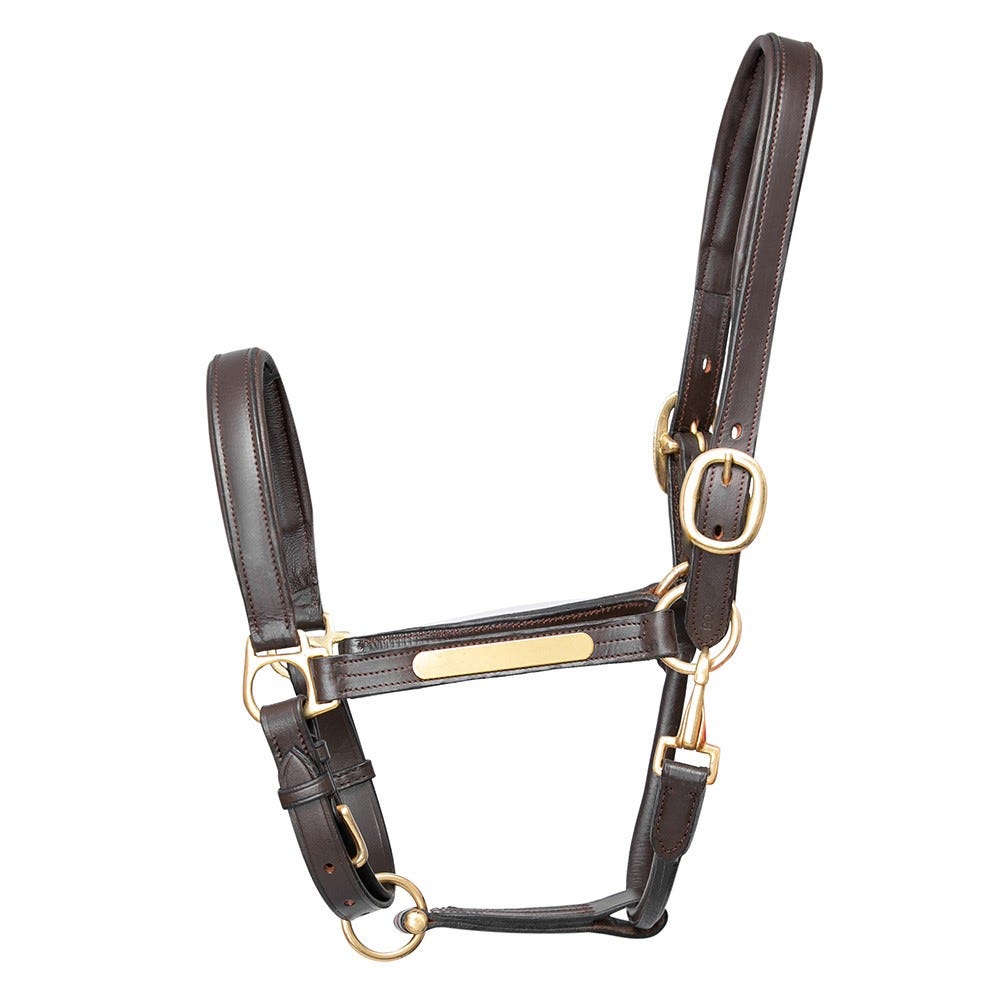 Hy Equestrian Leather Head Collar