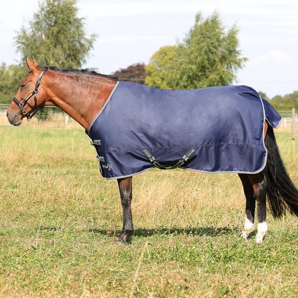 StormX Empra 100g Turnout Rug