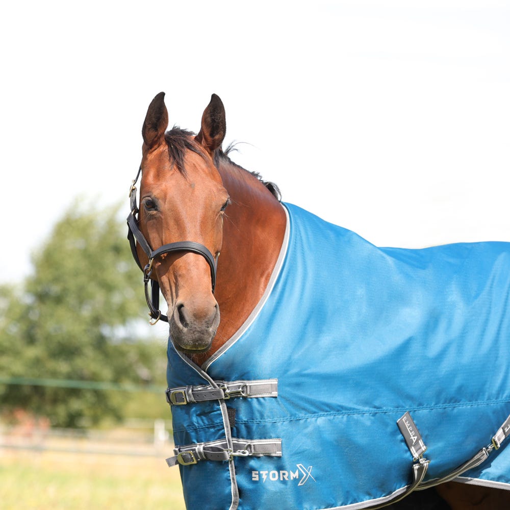 StormX Empra 50g Turnout Rug