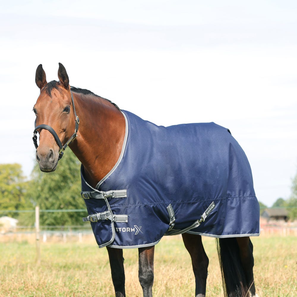 StormX Empra 100g Turnout Rug