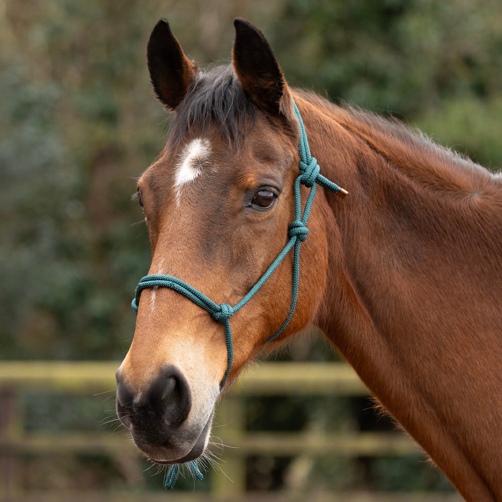 Hy Equestrian Rope Halter