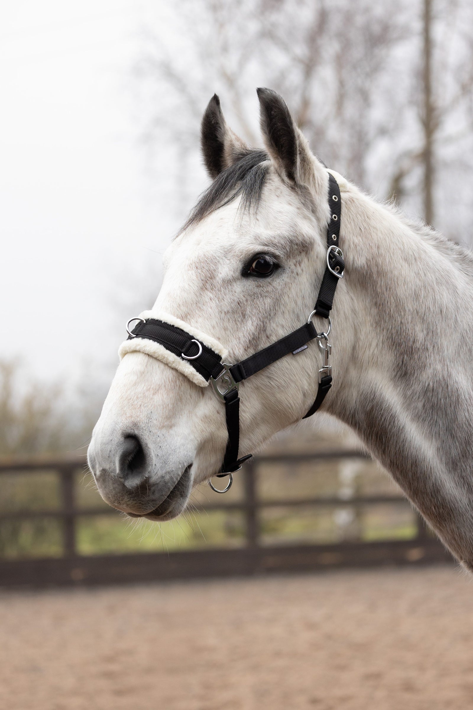 Hy Equestrian Fleece Lined Lunge Cavesson