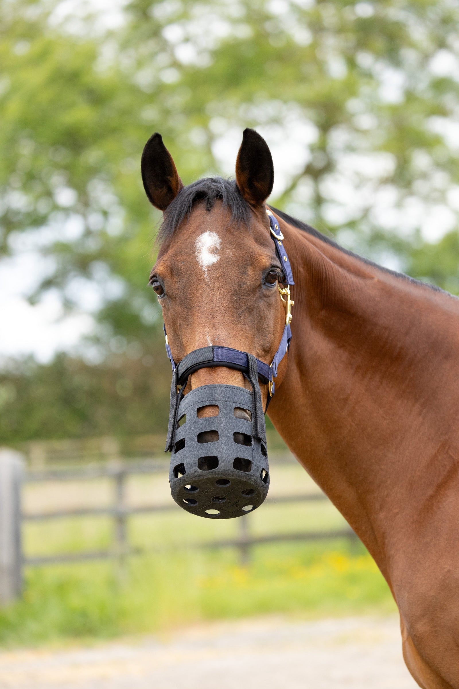 Hy Equestrian Rubber Muzzle