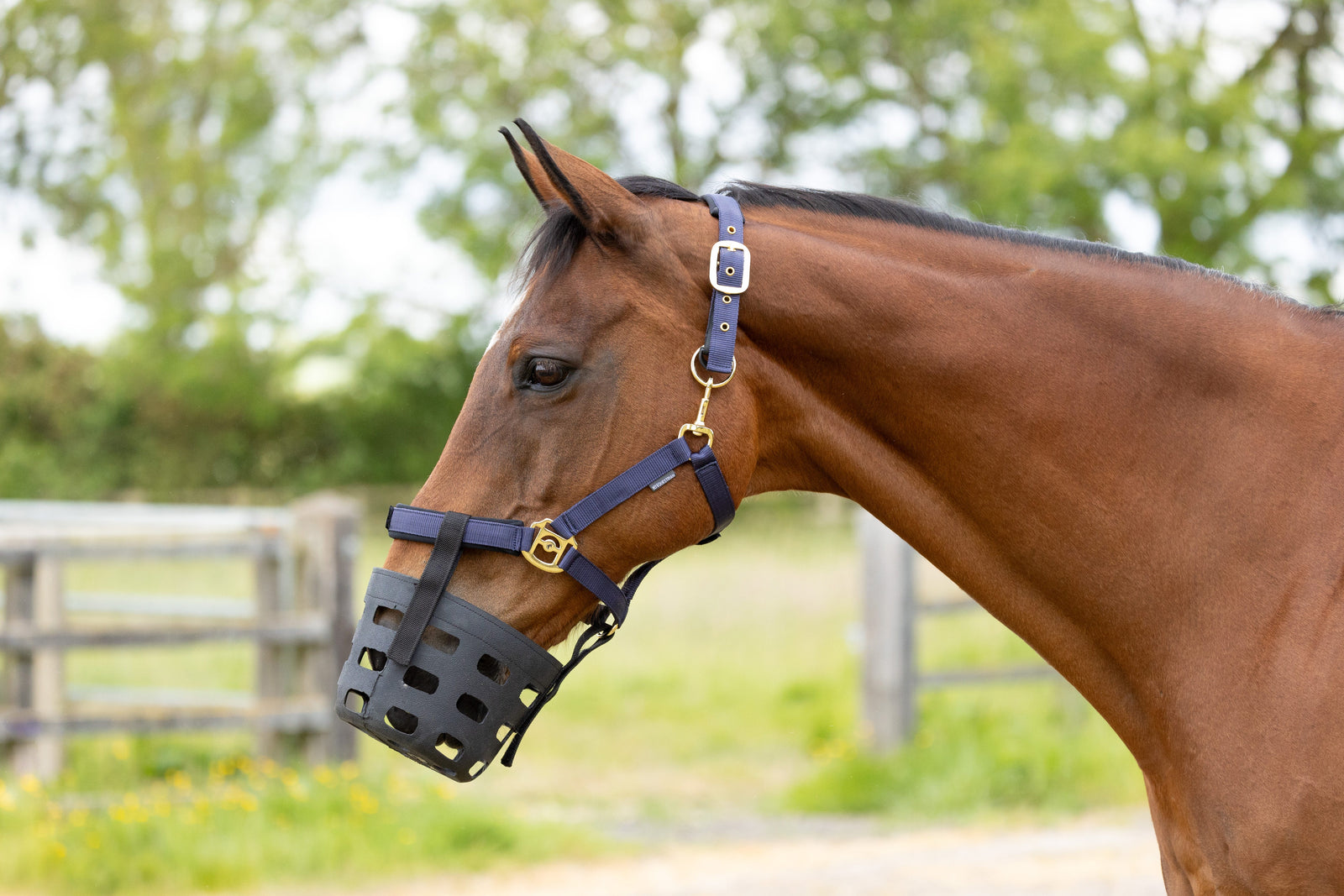 Hy Equestrian Rubber Muzzle