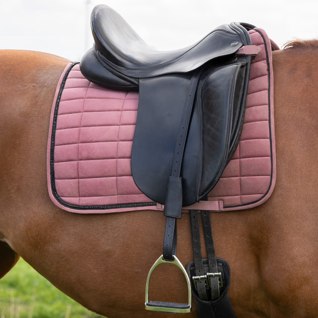 Stirrup Leathers Mono