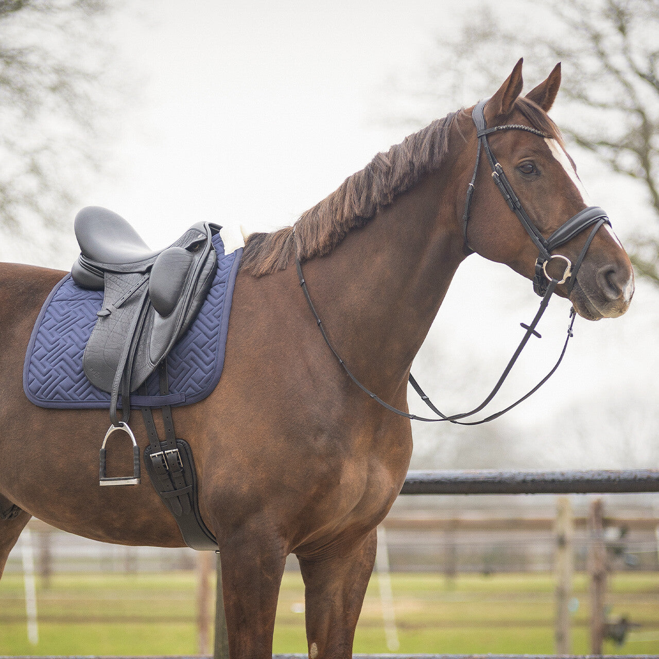SensiSoft Saddlepad