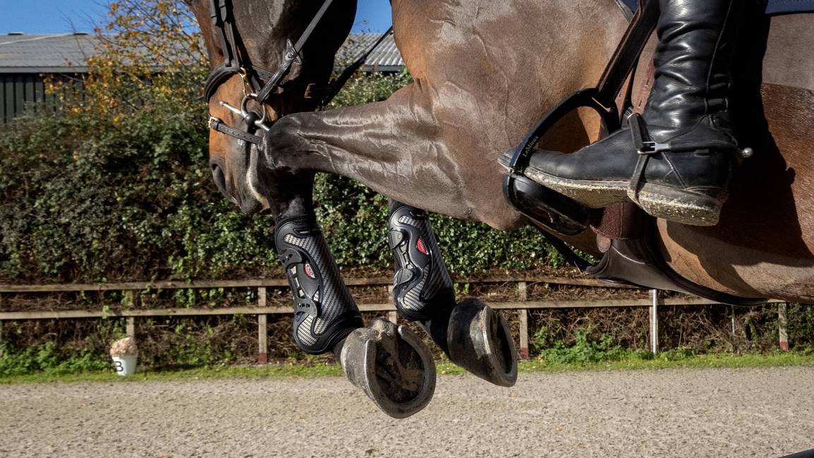 Lemieux EXO Flex Tendon Boots - Black/Silver