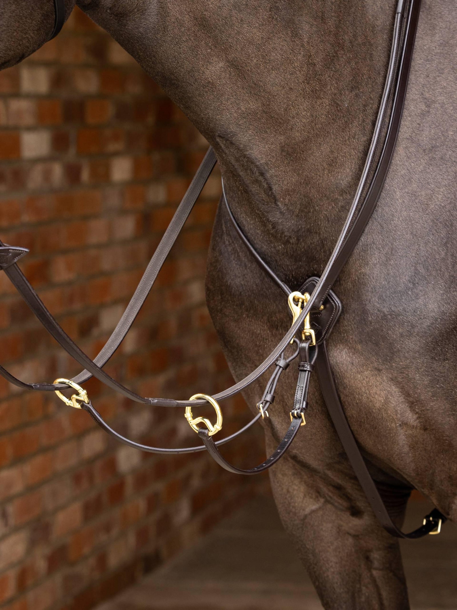 Lemieux Kudos Running Martingale