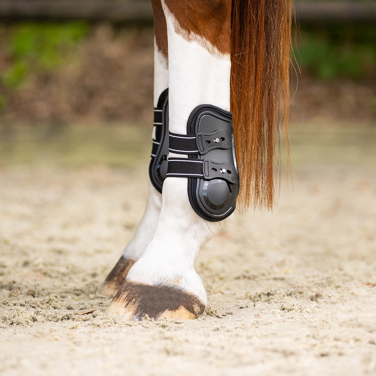 QHP Champion Fetlock Boots