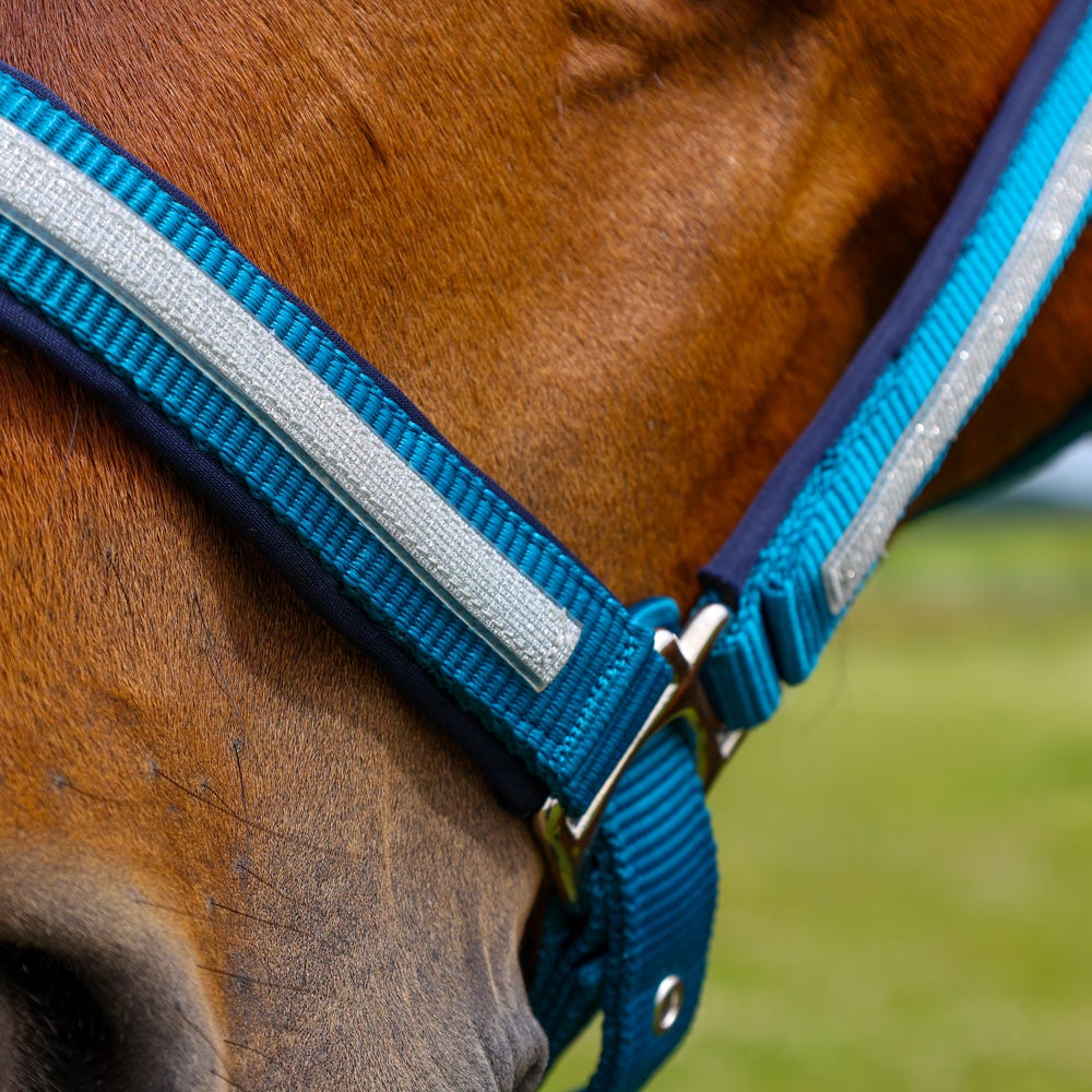 Hy Equestrian Mystic Head Collar