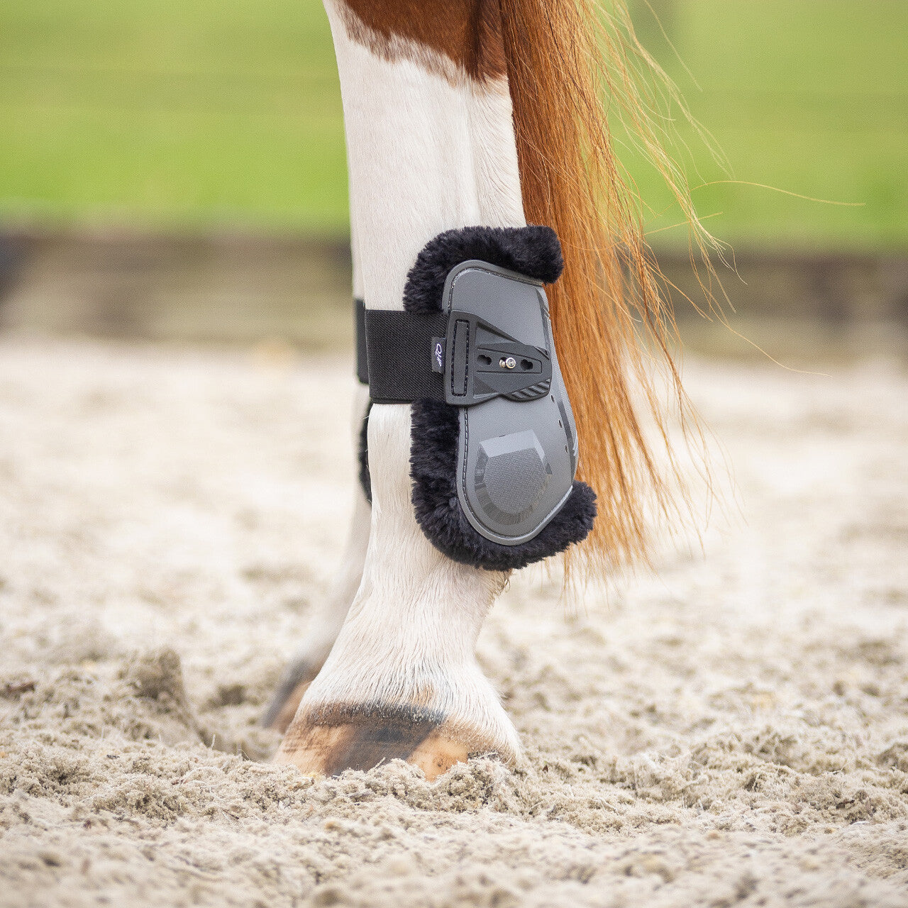 Fetlock Boots Sensisoft