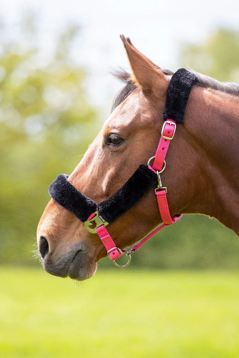 Fleece Lined Headcollar