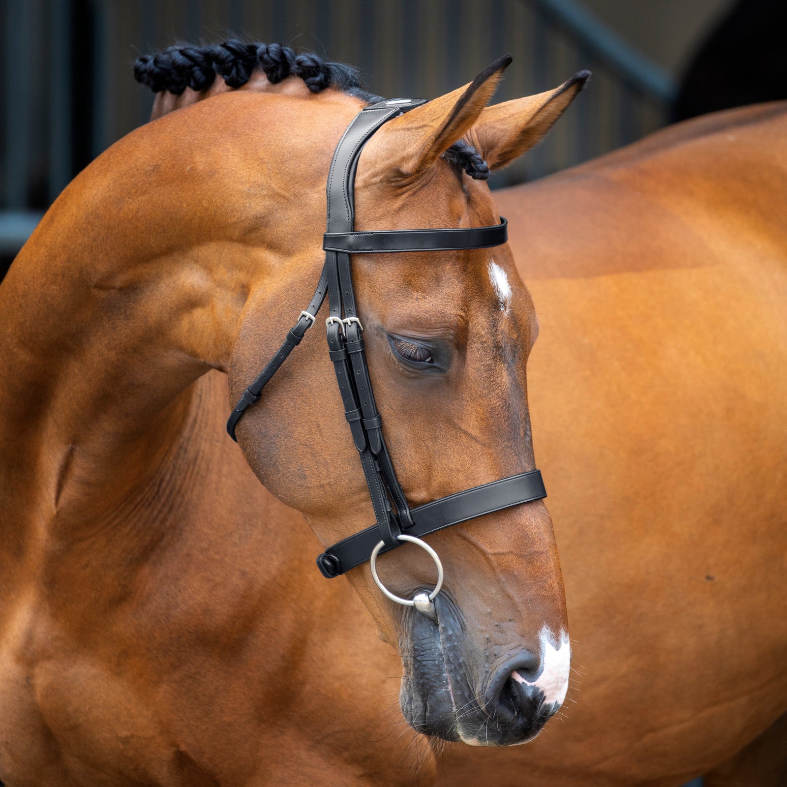 Velociti Lusso Hunter Cavesson Bridle