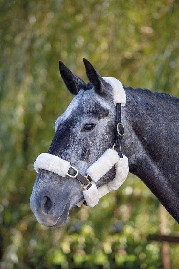 ARMA SupaFleece Halter Fleeces