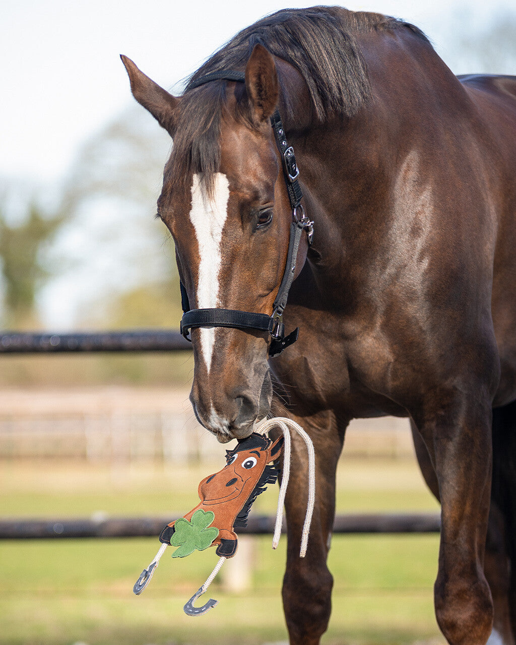Good Luck Horse Toy