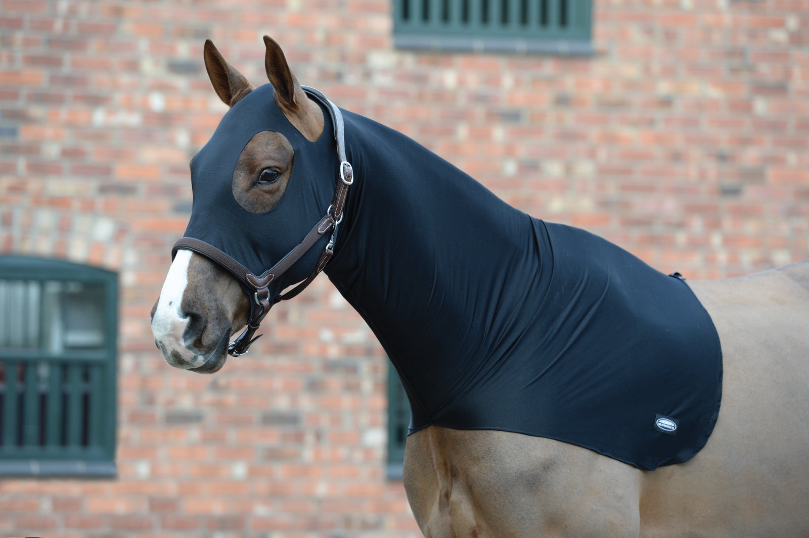 Weatherbeeta Stretch Hood