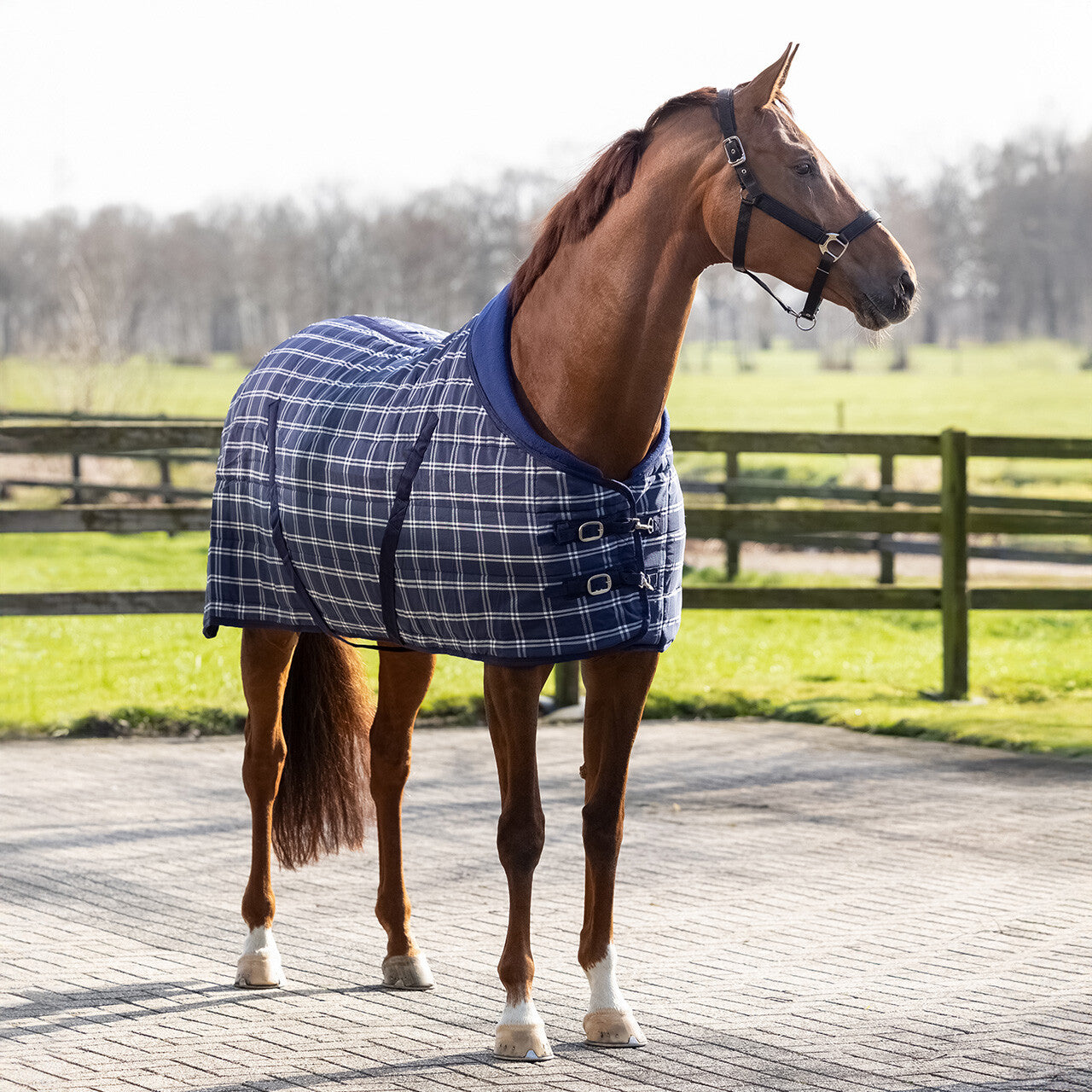 Stable Rug Luxury 300g