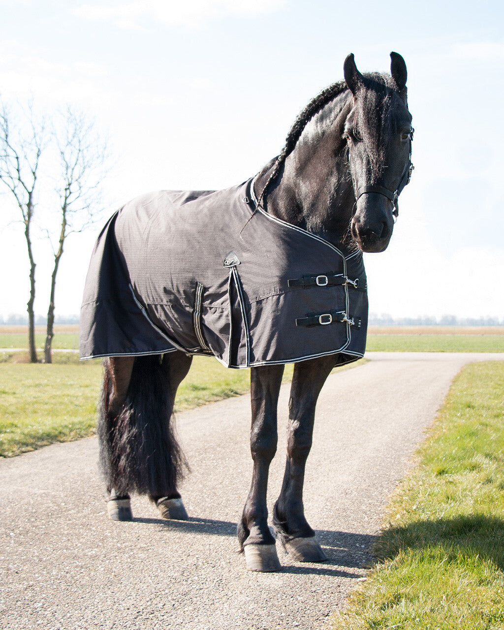 Turnout Rug XL 0G - Black