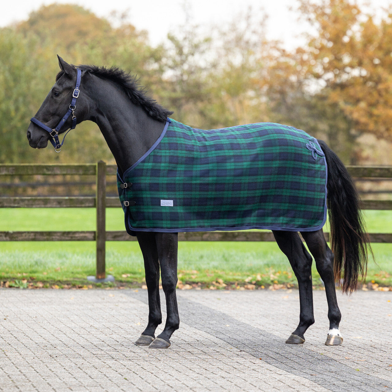 Check Wool Rug