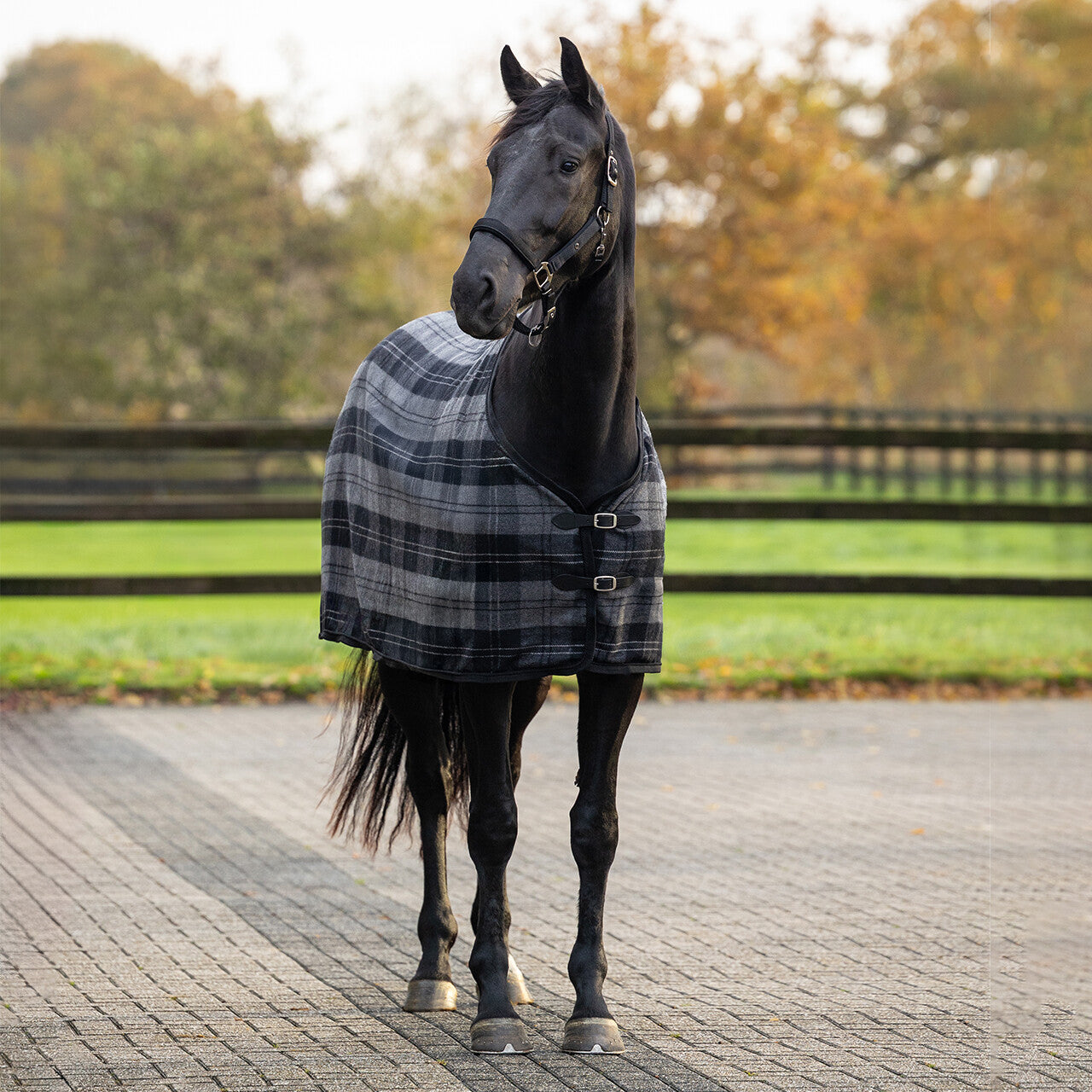 Check Wool Rug