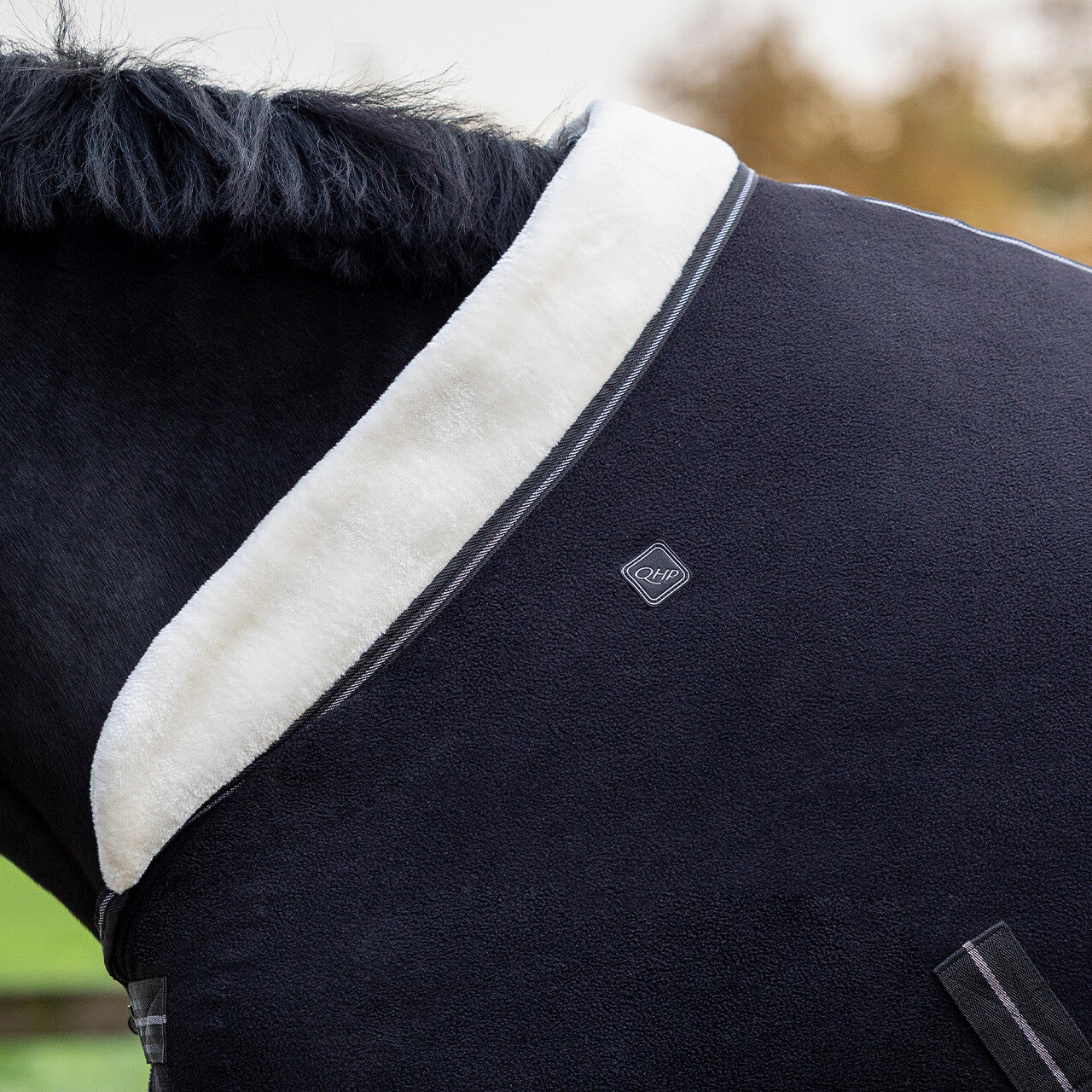 Shine Fleece Rug