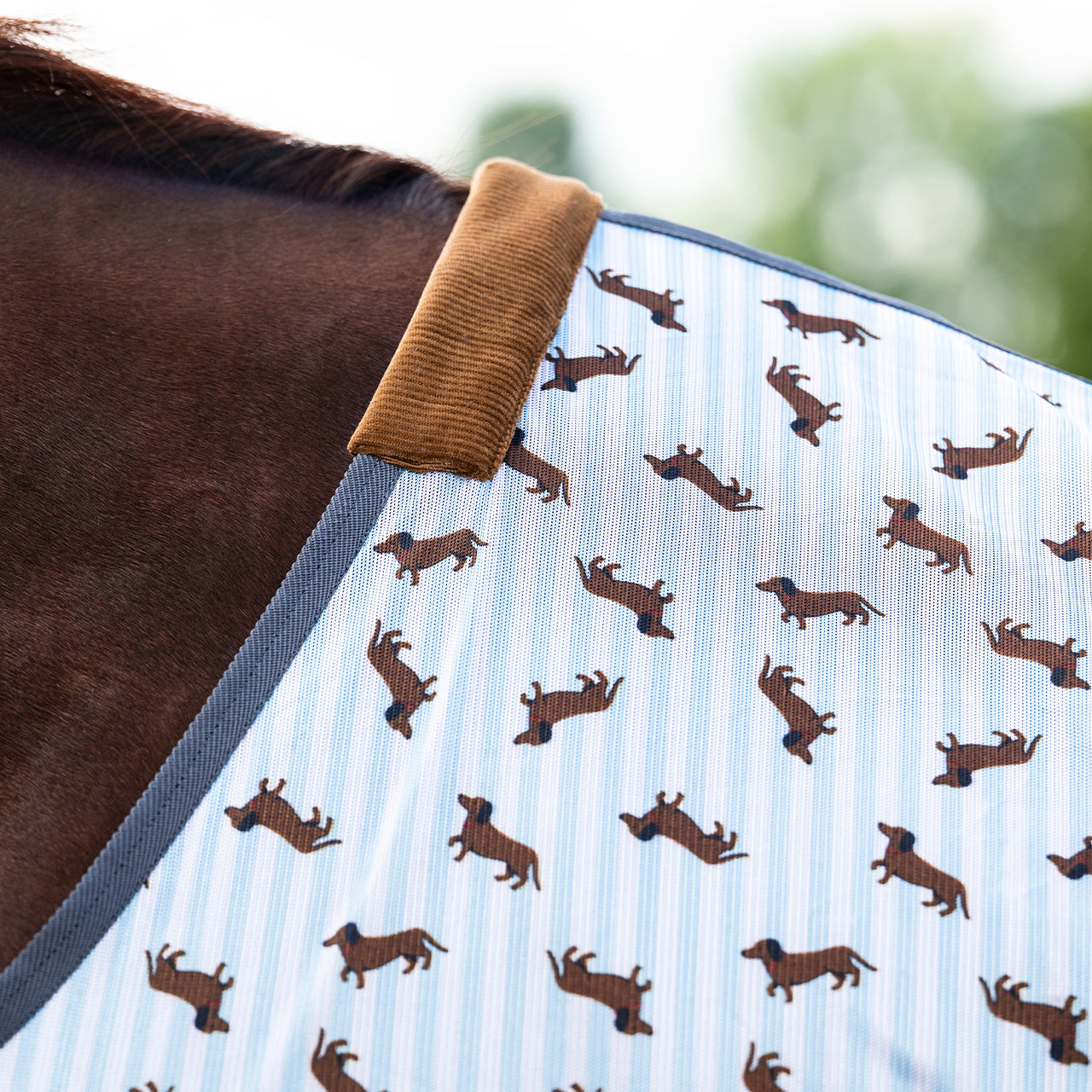 Stable Buddy Dachshund Print Fly Rug