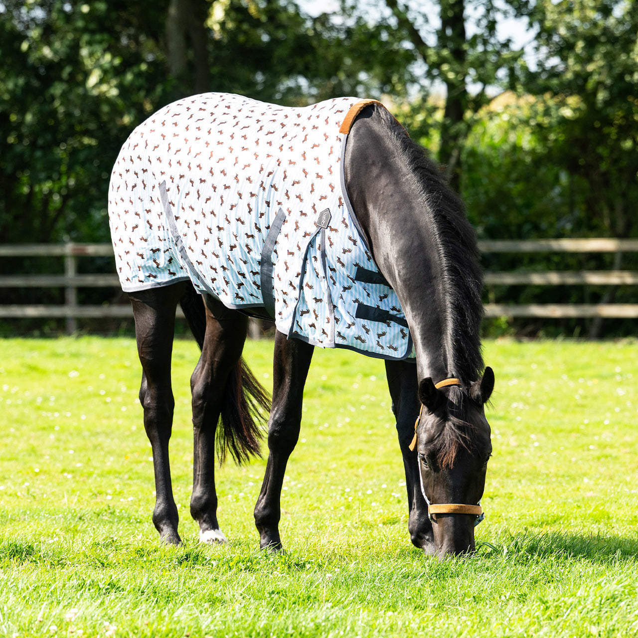 Stable Buddy Dachshund Print Fly Rug